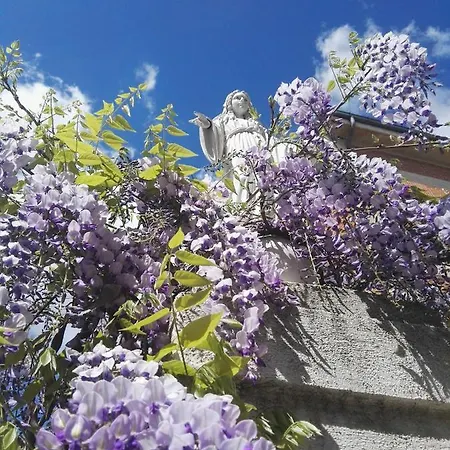 Casa de hóspedes Sacro Cuore