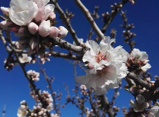 Affittacamere Sacro Cuore 3*